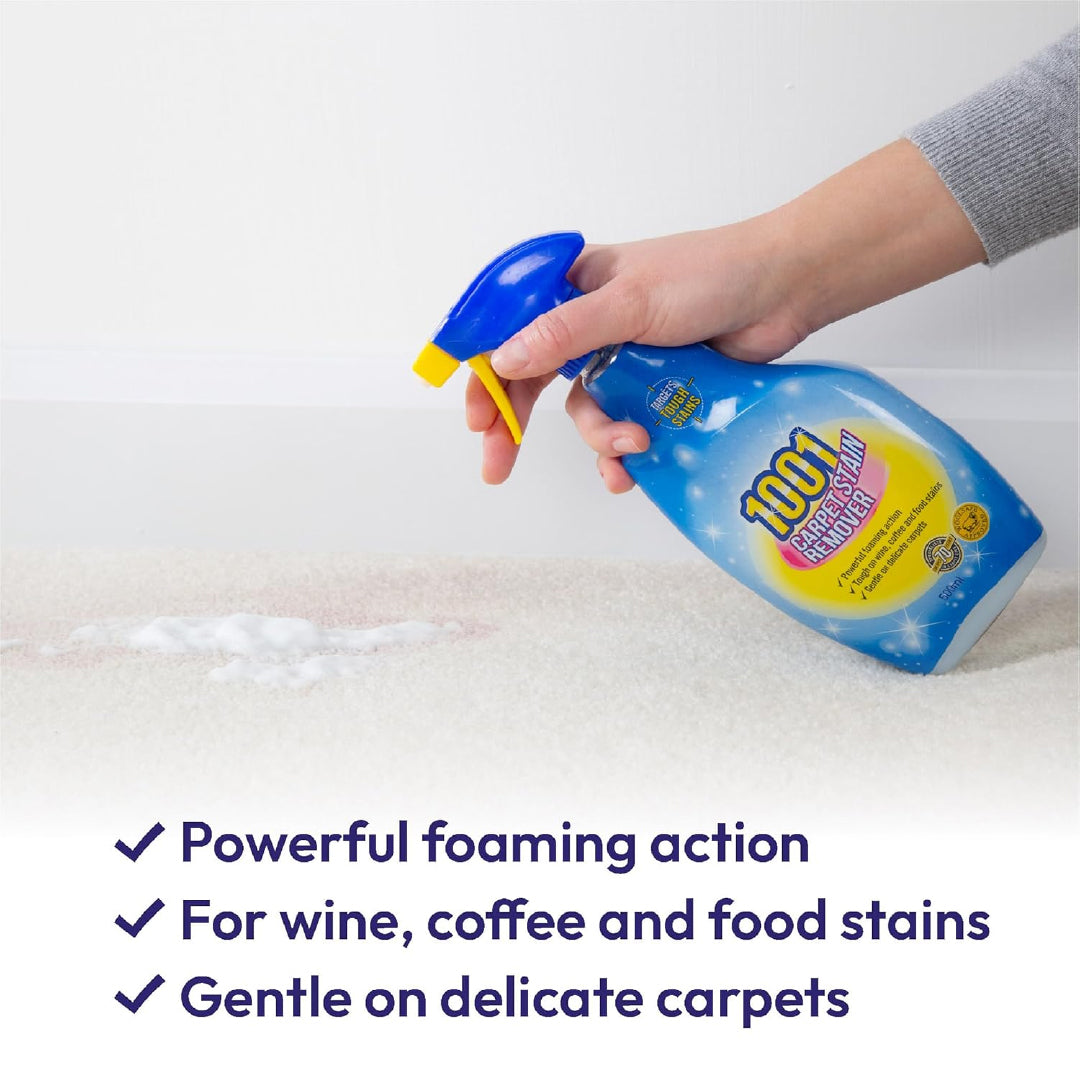 1001 Carpet Stain Remover 500 ml